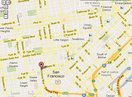 Garden Bloggers Fling: February 2013