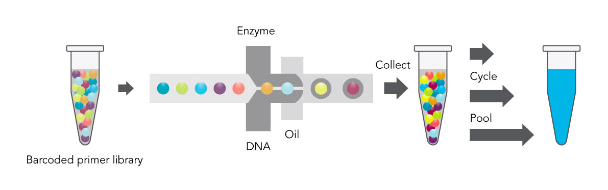 10x genomics what s the fuss over phasing enseqlopedia 10x genomics