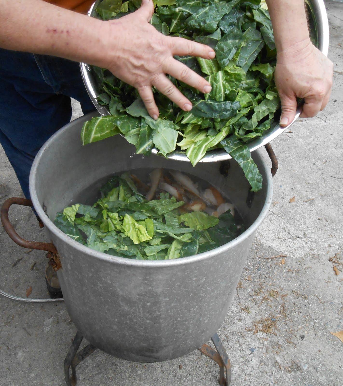 A Working Pantry Q & A Collard Greens