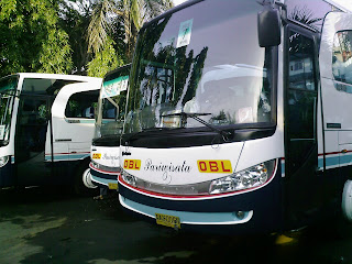 Petualangan di Atas Roda: Menggali Potensi Bus Safari Pariwisata di Indonesia