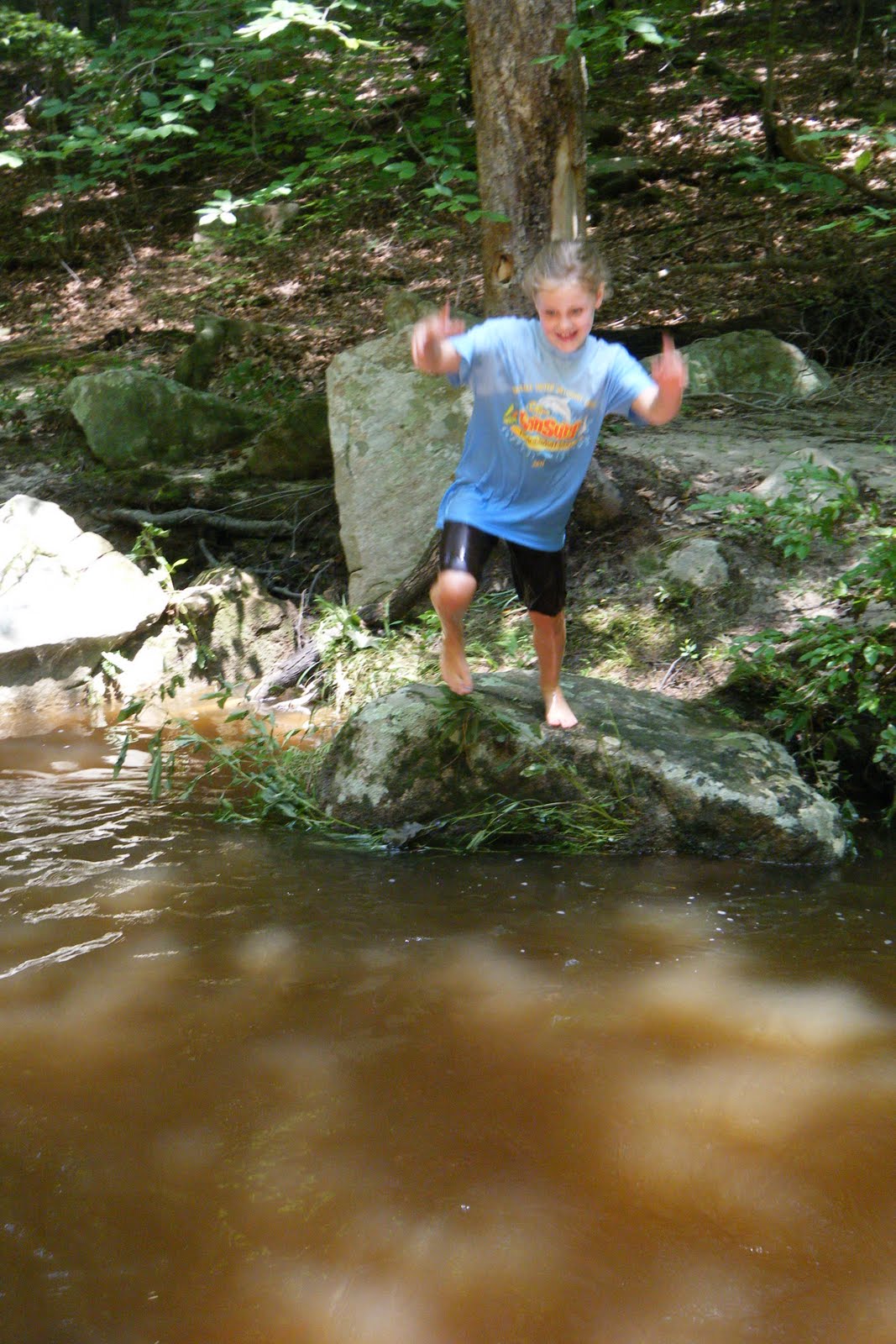 Five Dows Wading in the Creek
