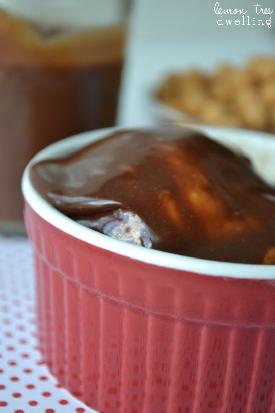 Salted Caramel Chocolate Sauce Lemon Tree Dwelling