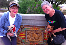 Queenie the dog on Golf Bridge