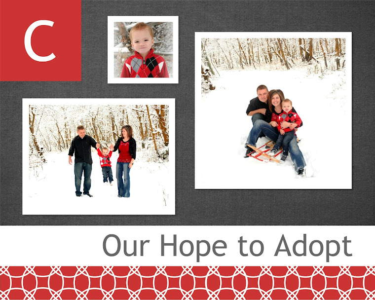 Our Hope to Adopt
