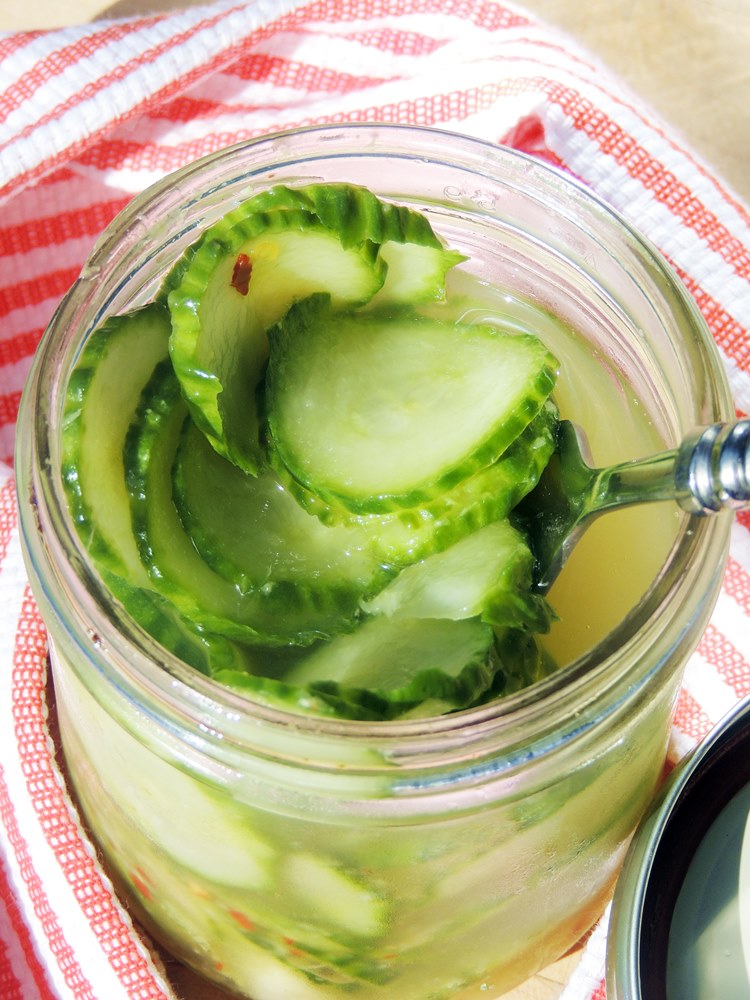 Garlic and Ginger Pickled Cucumbers Bobbi's Kozy Kitchen