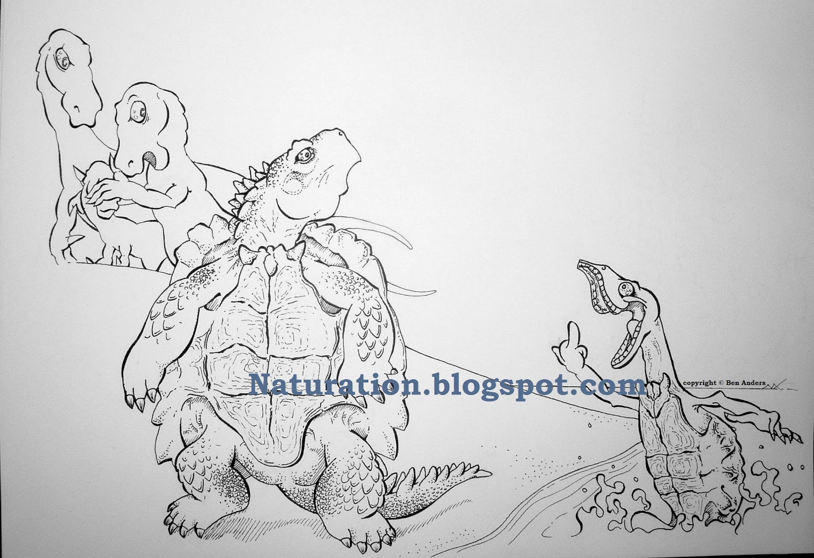 Naturation Proganochelys THIS...