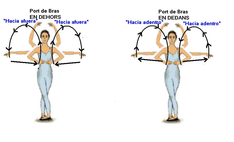 Ballet Dancer Port de bras