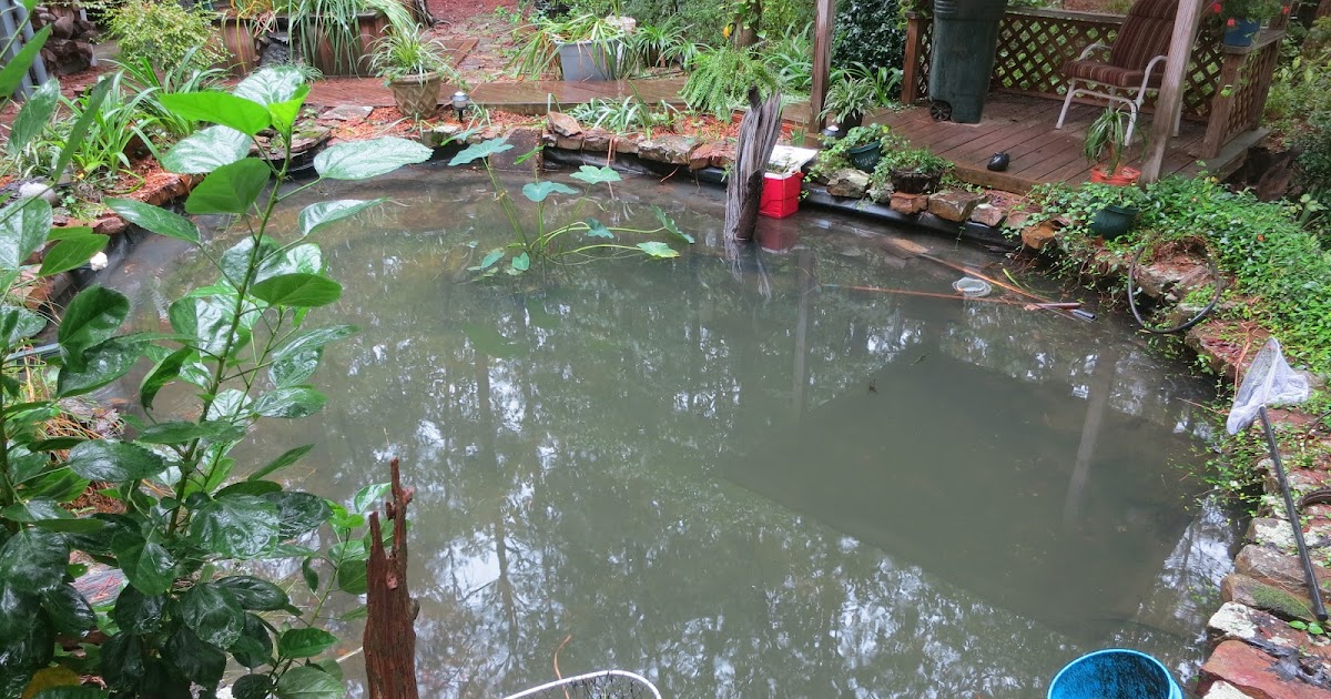 koi pond liner