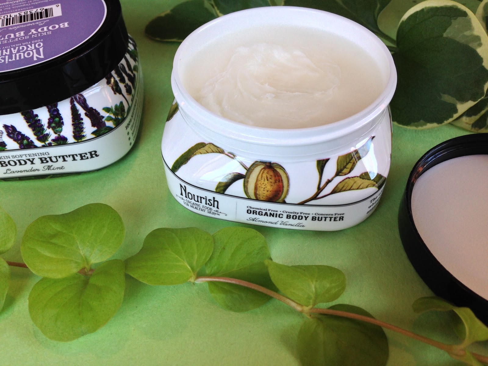 Health & Lifestyle Management Nourish Organic Food For Healthy Skin