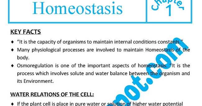 English Short Essays Homeostasis Essay Essay About Healthy Lifestyle also Proposal For An Essay Homeostasis Essay Research Papers In Computer Science Homeostasis Reflection Paper Example Essays