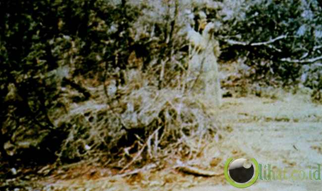 Hantu The Watcher Hantu The Watcher