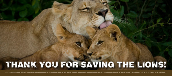 Save The Lions