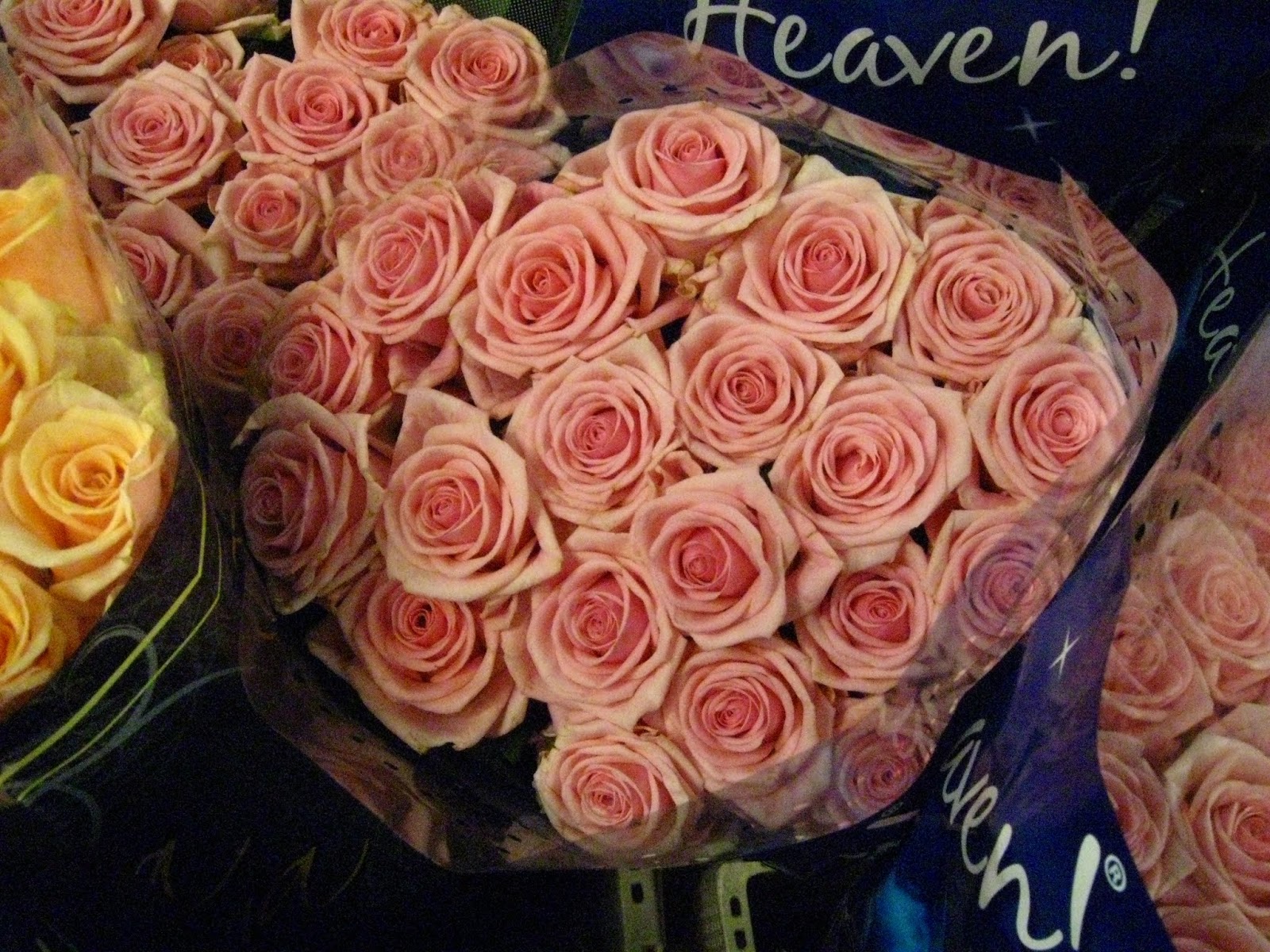 Blomsterbo: januari 2012