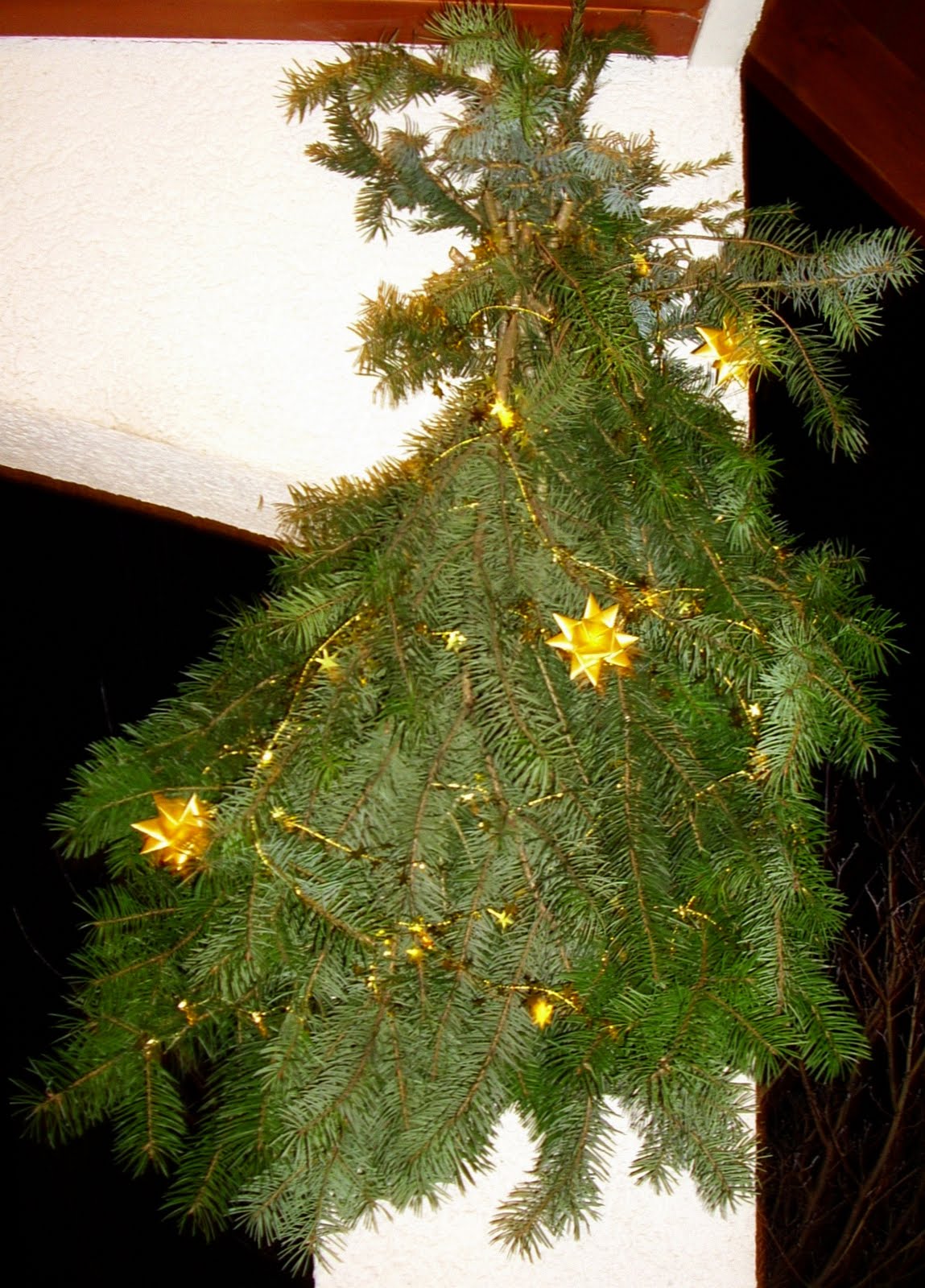 Martin In Broda Dezember 2011