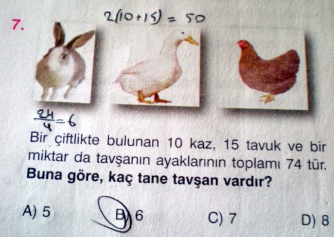 tavsan topi nin gunlugu http www tavsan org bir test sorusu olarak topi