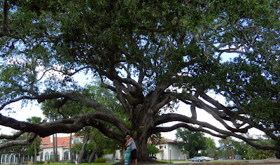 dvd rencontre avec un boulanger paysan