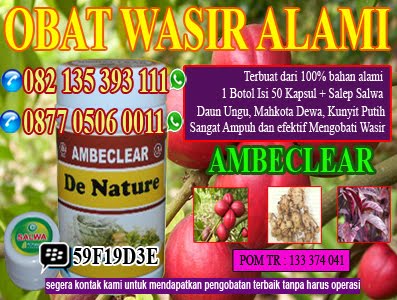 Obat Herbal Wasir