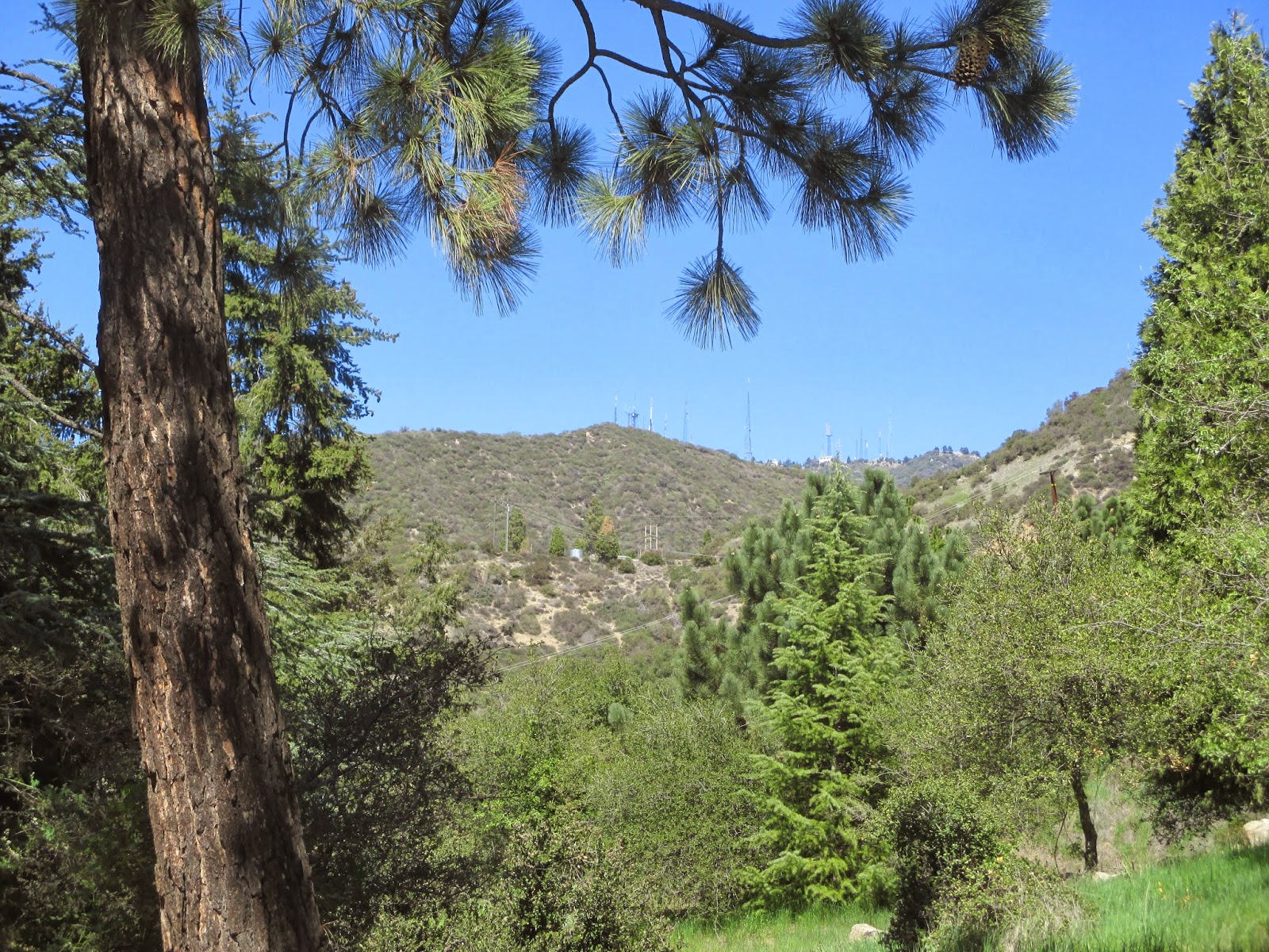 Hiking in Southern California Henninger Flats from Eaton Canyon