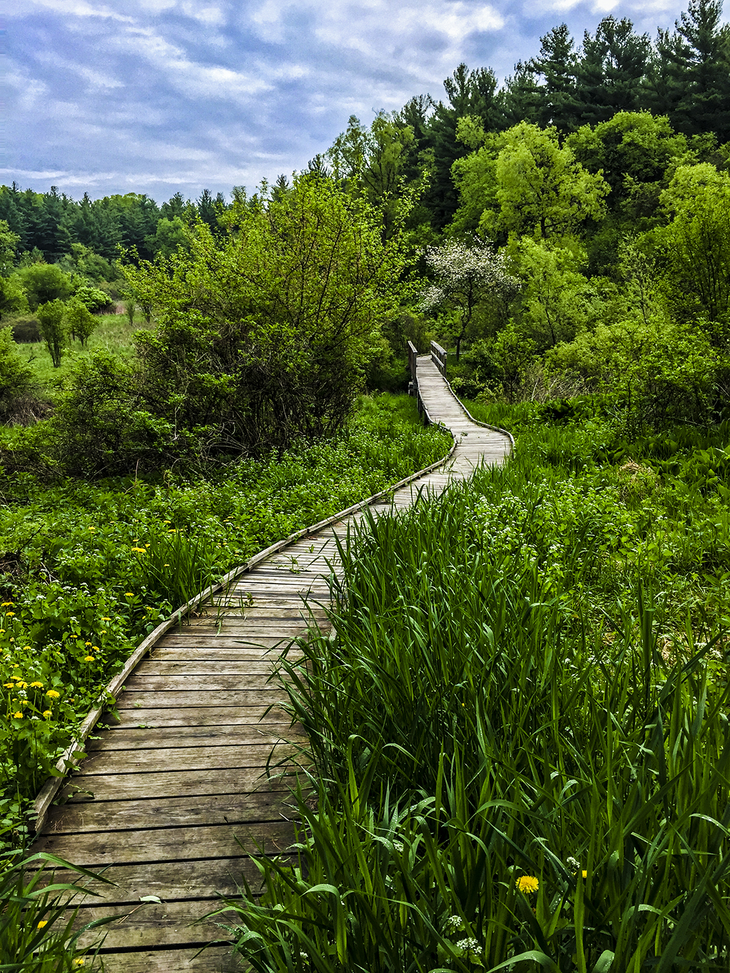 Wisconsin Explorer Hiking The Ice Age Trail Whitewater Segment