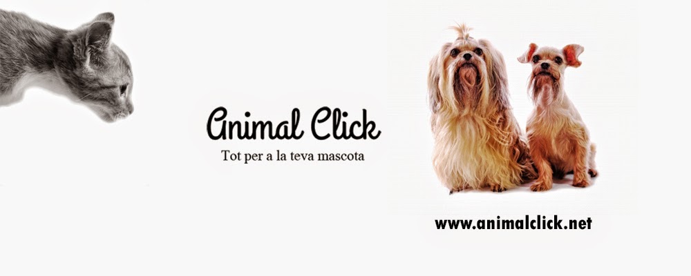 Animal Click