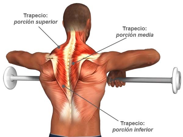 Aumentar el pecho por la masturbación
