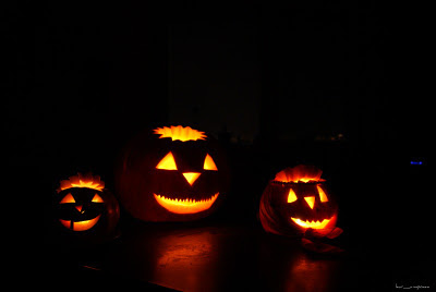 halloween pumpkins dovleci halloween