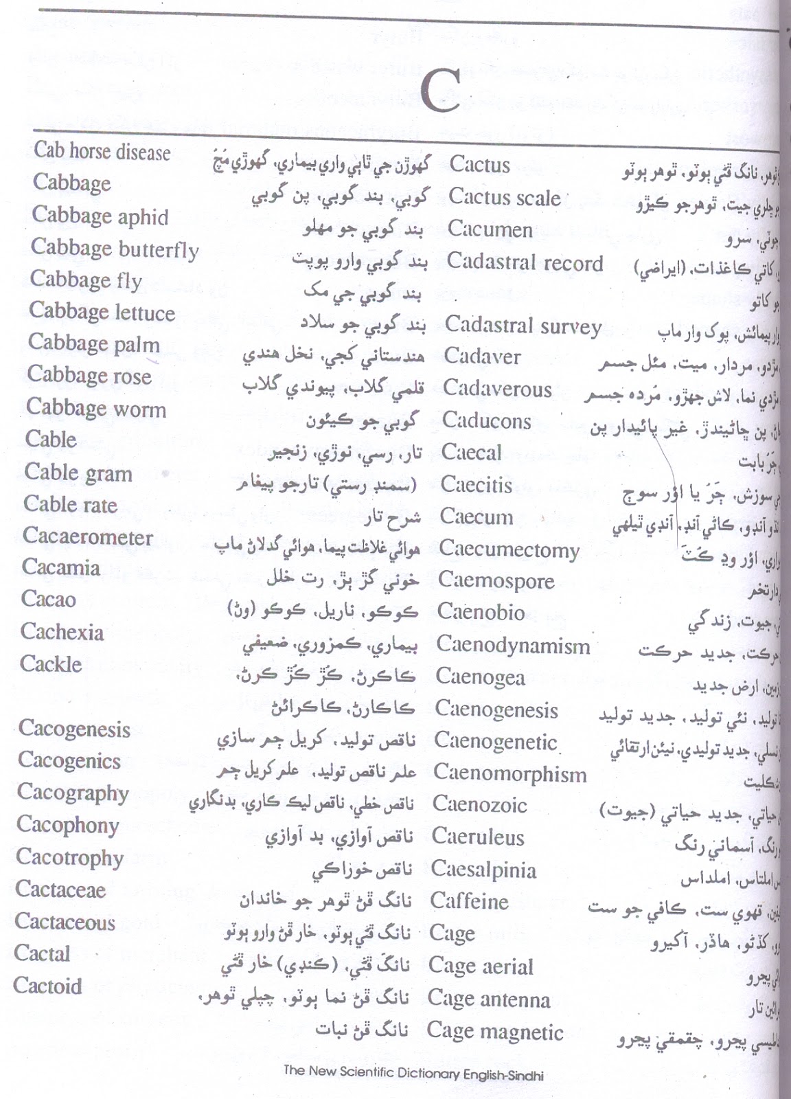The New Scientific Dictionary English to Sindhi Roshni Publication