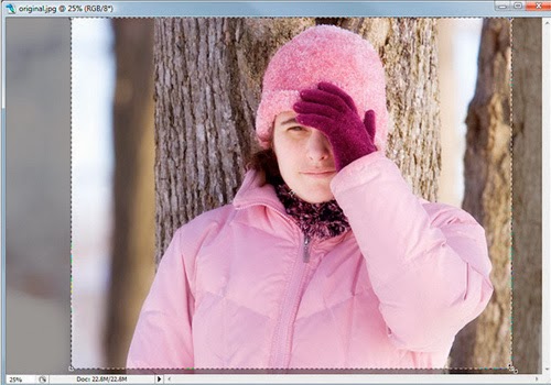 Cropping Photos To Specific Frame Sizes Cropping Photos To Specific Frame Sizes