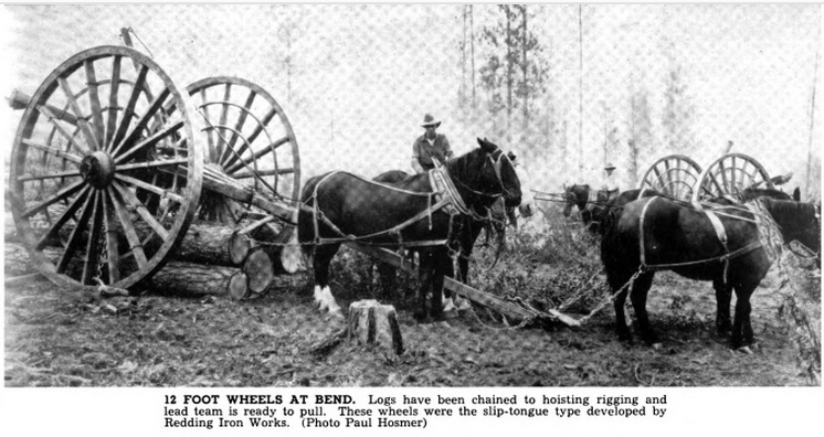 Horses pulling logs on high wheels Horses pulling logs on high wheels