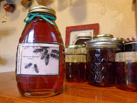 Dark bottle of fall honey