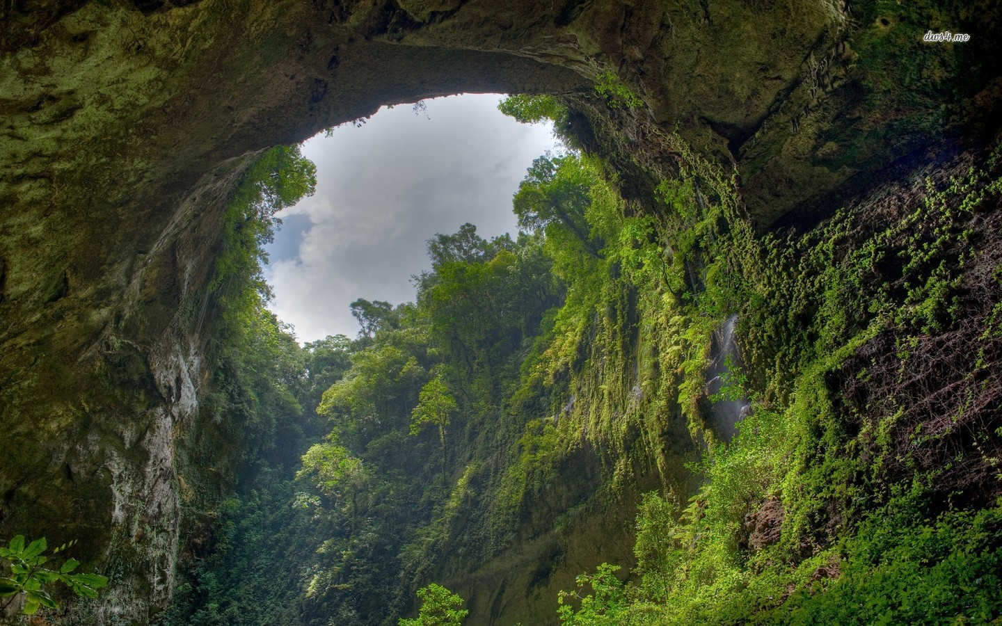 54 Beautiful PHOTOS of Son Doong Cave, The World's Largest Cave