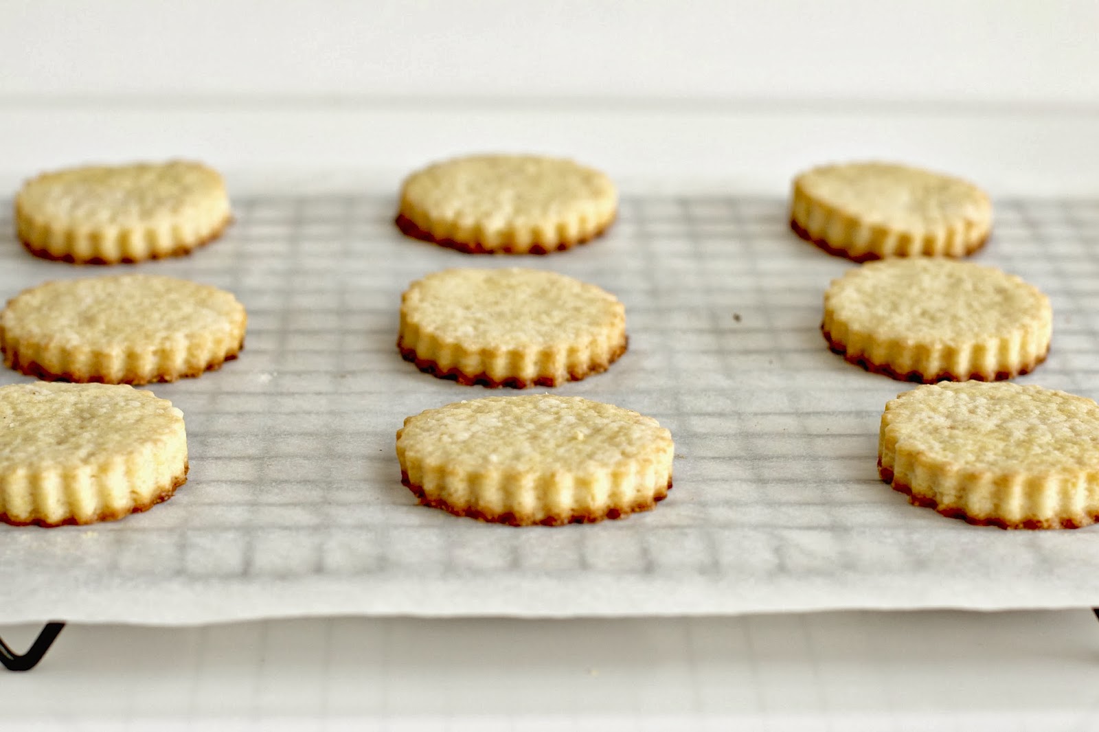 Milk and Honey Lemon Cookies with LemonSalt Sprinkle