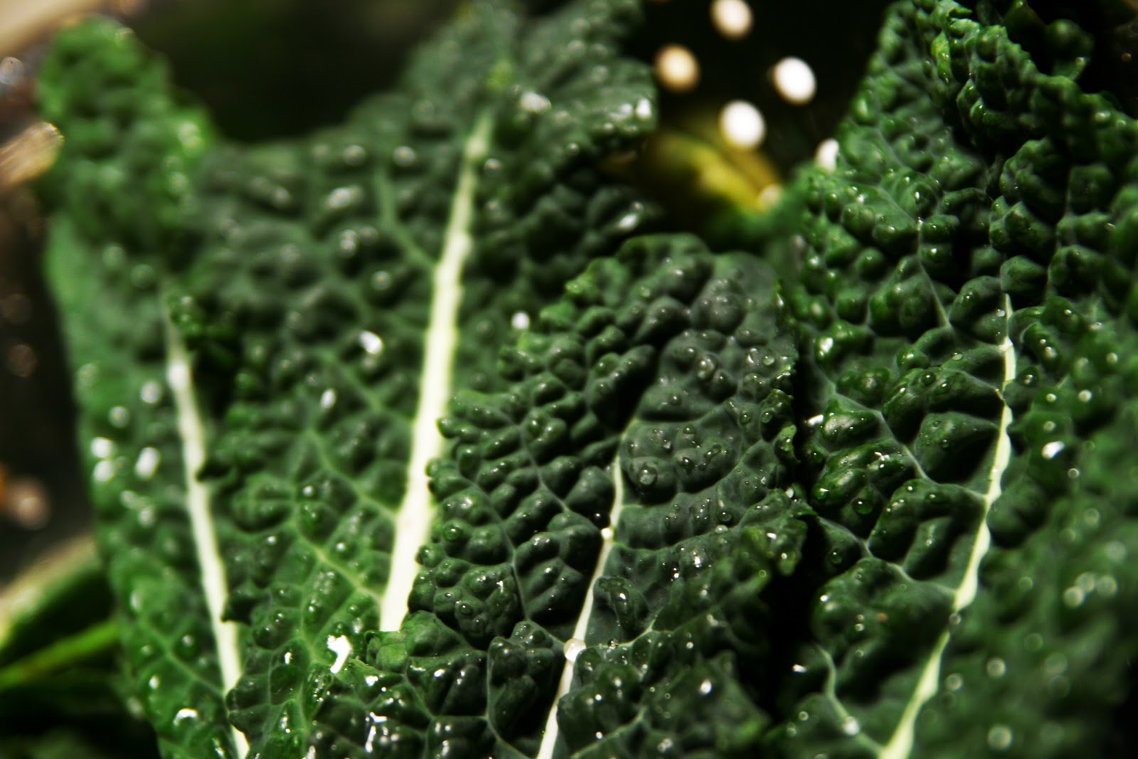 The Joy of Looking Tuscan Kale Inspiration
