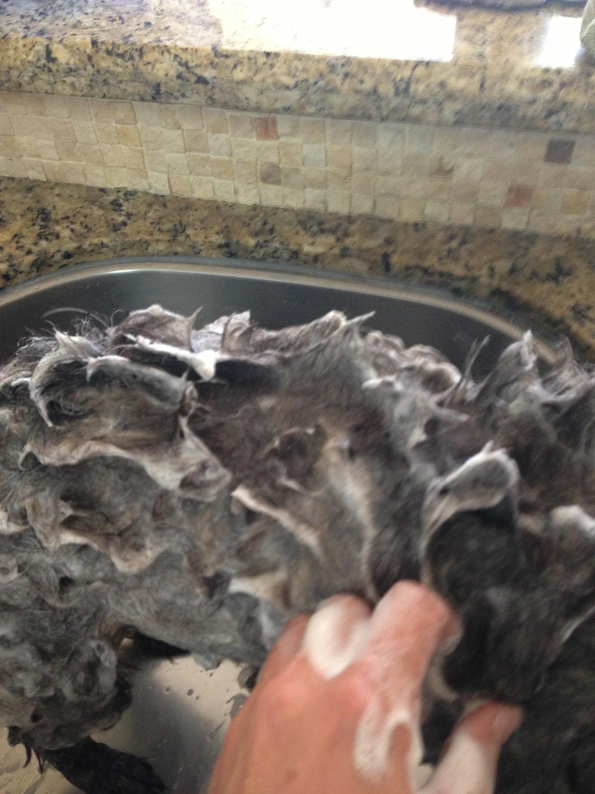 Wonder Why I No Longer Mind a BATH? Wondercide Shampoo Product