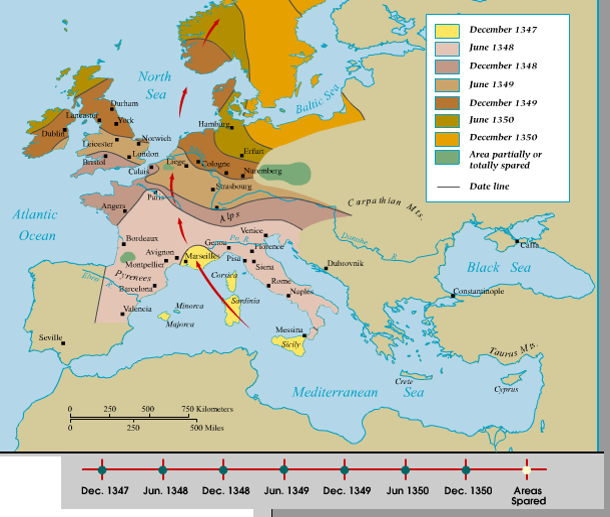 Black death essay