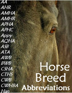 Horse Breed Abbreviations | Savvy Horsewoman