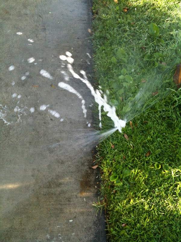 Broken sprinkler