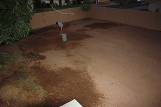 Joy: Backyard - We have grass!