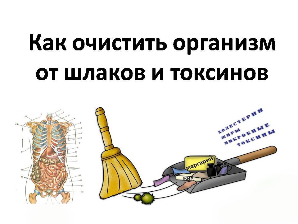 Как выводить шлаки из организма в домашних условиях