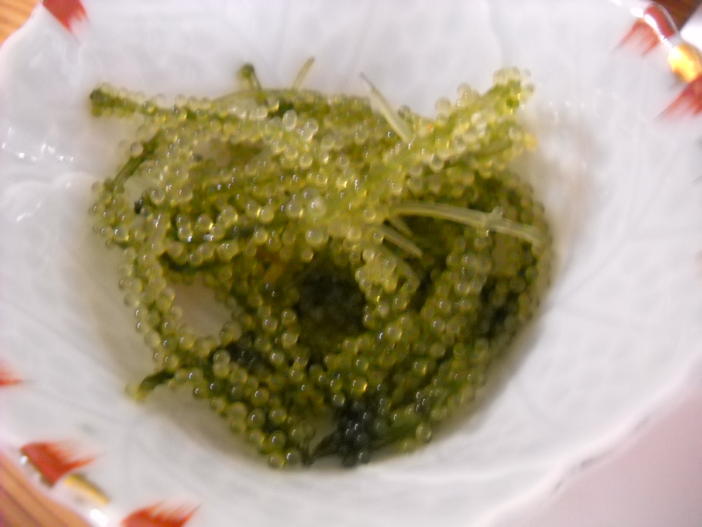 Daily Glimpses Of Japan Umibudou Sea Grapes From Okinawa