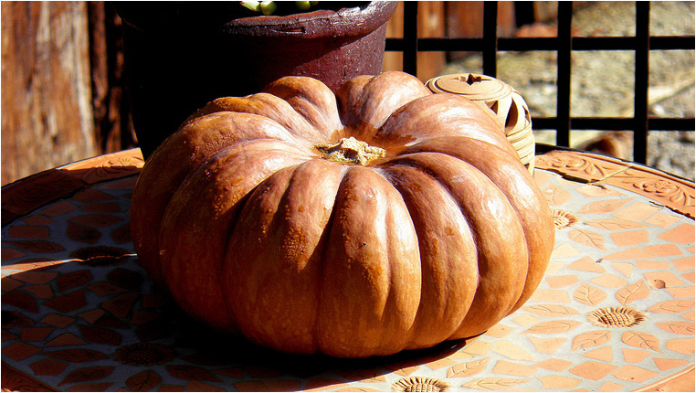 emphoka, photo of the day, Marco Bertini, Olympus SP800UZ emphoka, photo of the day, Marco Bertini, Olympus SP800UZ