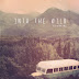 Into the Wild