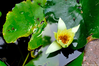 DSC_0205.jpg
