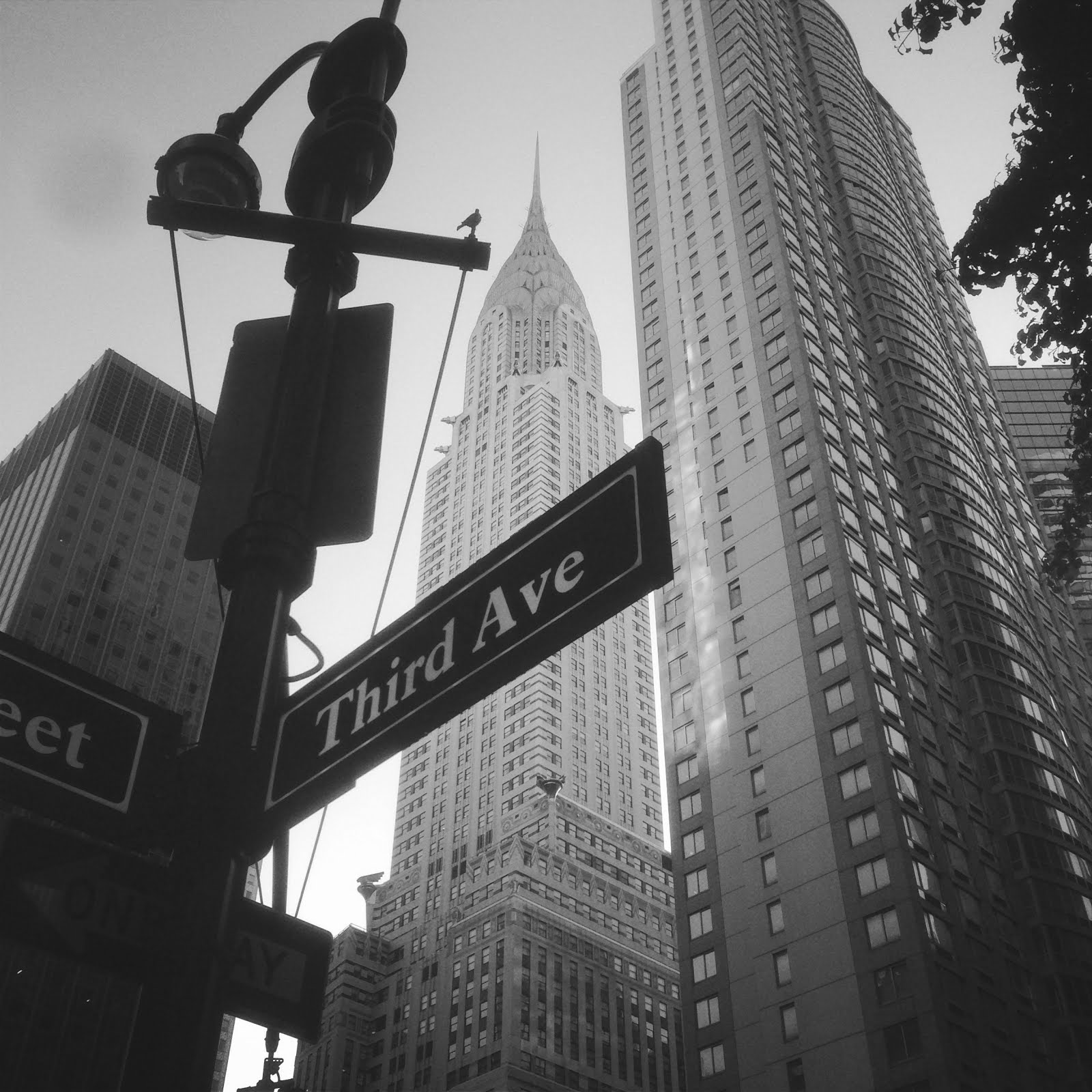 NYC ♥