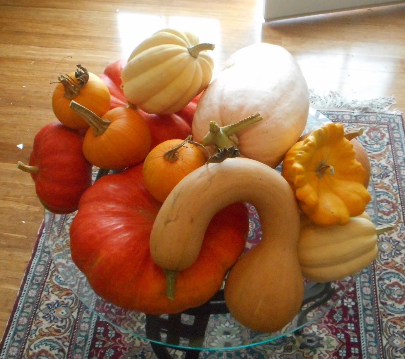 Growing Greener in the Pacific Northwest Squashes