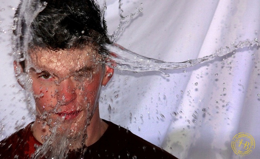 looks like the movies sophin cr...