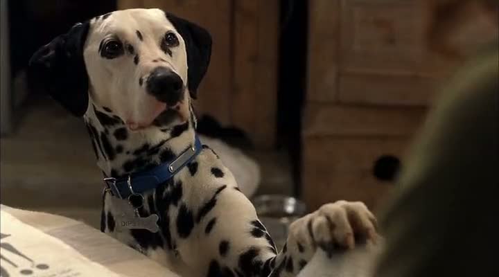Dalmatian Full Movie Download Dalmatian Full Movie Download