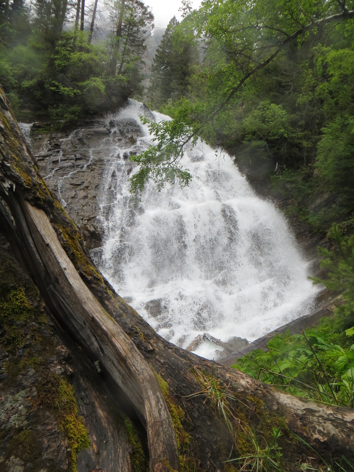 The Humble Hiker Bertha Lake, Waterton Lakes National Park
