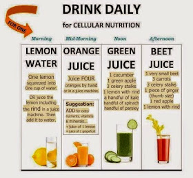  Drink Daily For Cellular Nutrition