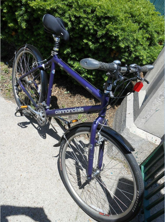 cannondale m500 purple
